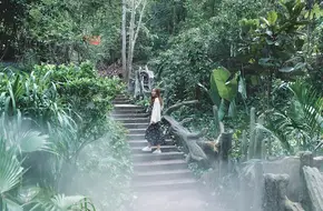 Xiamen Botanical Garden
