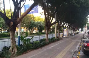 Song Xin Food Street