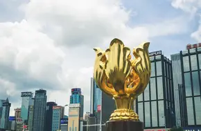 Golden Bauhinia Square