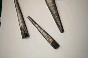 China Quaternary Glacial Relics Exhibition Hall