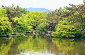 Flower Harbor Fish Viewing