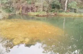 Hung Shui Hang Irrigation Reservoir
