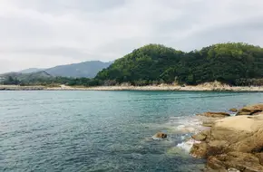 Guanhu Jiao