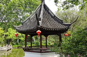Zuibai Pool Park-Lotus Pond