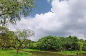 Pujiang Forest Park