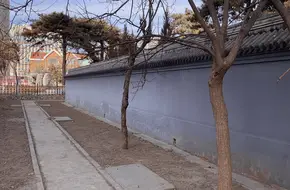 Tan Xinpei'S Tomb