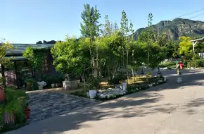 Prato