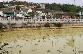 NEW WHO VILLAGE