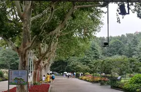 Children'S Zoo