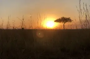 Kenya African Wildlife Park