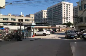 Jinzhi Feng Walking Street