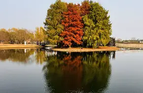 Matsushima