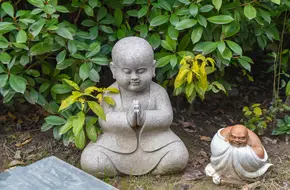 Ten Thousand Buddhas Temple