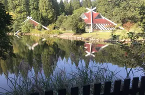 Swan Lake