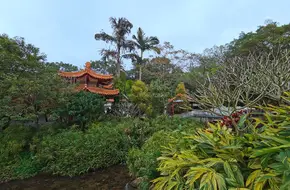 Medicinal Plant Area, Xianhu Botanical Garden, Shenzhen