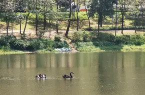 Lu Lake