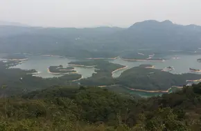 Tai Lam Chung