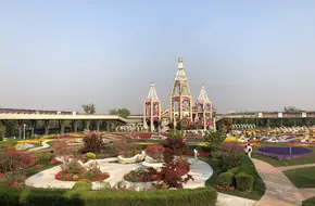 Dream Floral Valley