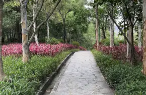 Longcheng Park
