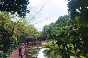 Moon Bay Park
