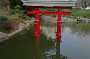 Window Of The World - Japanese Torii