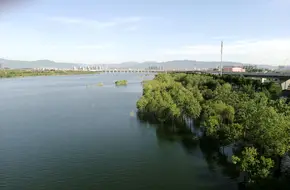 Yongding River Leisure Forest Park