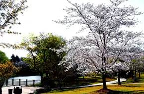 Shanghai University BaoShan Campus Library