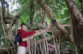 Shanghai Shenshan Botanical Garden - Succulent Plant Pavilion