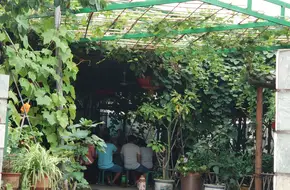 May Day Folk Culture Park