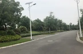 Bicycle Theme Park
