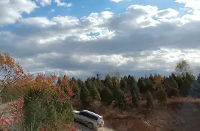 Beijing Blossom Auto Park