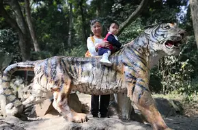 Giant Panda Pavilion