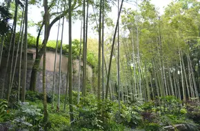 Hangzhou Zoo