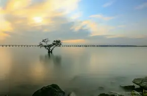 Xiwan Mangrove Park Phase II Square