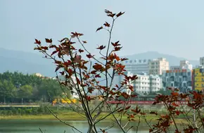 Lixin Lake Park