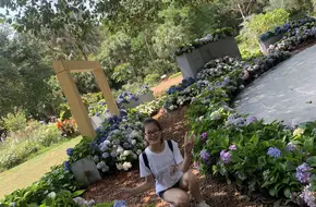 Spore Plant Wetland Area