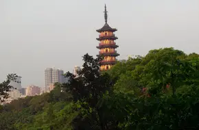 Longhua Park