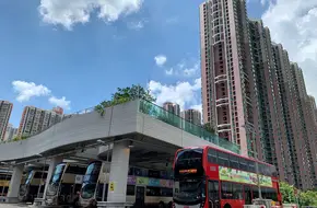 Tsing Yi Island