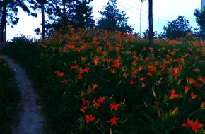 Mencheng Lake Park