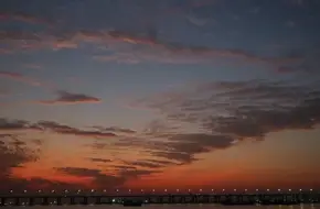 Xiwan Mangrove Park - Sea-View Platform