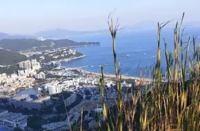 Pineapple Mountain