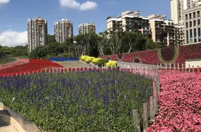 Huifang Garden
