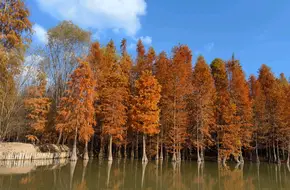 Xisha National Wetland Park - Tidal Flat Landform