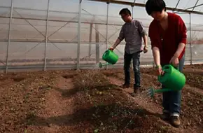 Shanghai Taisheng Farm