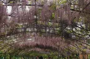 Fragrant Park