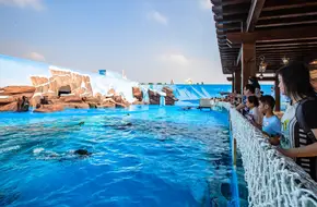 Marine Mammal Exploration Pavilion