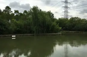 Zhoupu Park