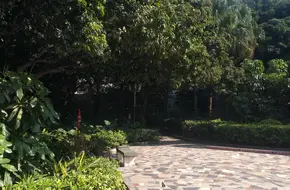 Zhongwu Lychee Park