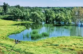 Century Forest Park
