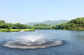 Mission Hills Resort